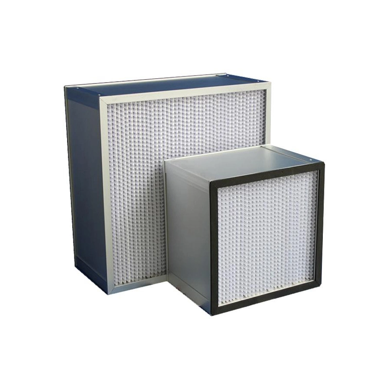 HEPA Deep Pleat Filter