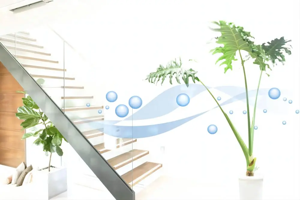 Vai trò của FFU trong hệ thống không khí trong lành